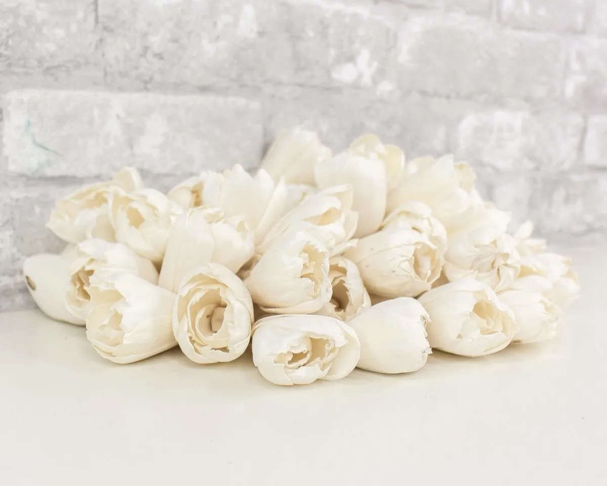 2" Precious Tulip  - 50 Pack