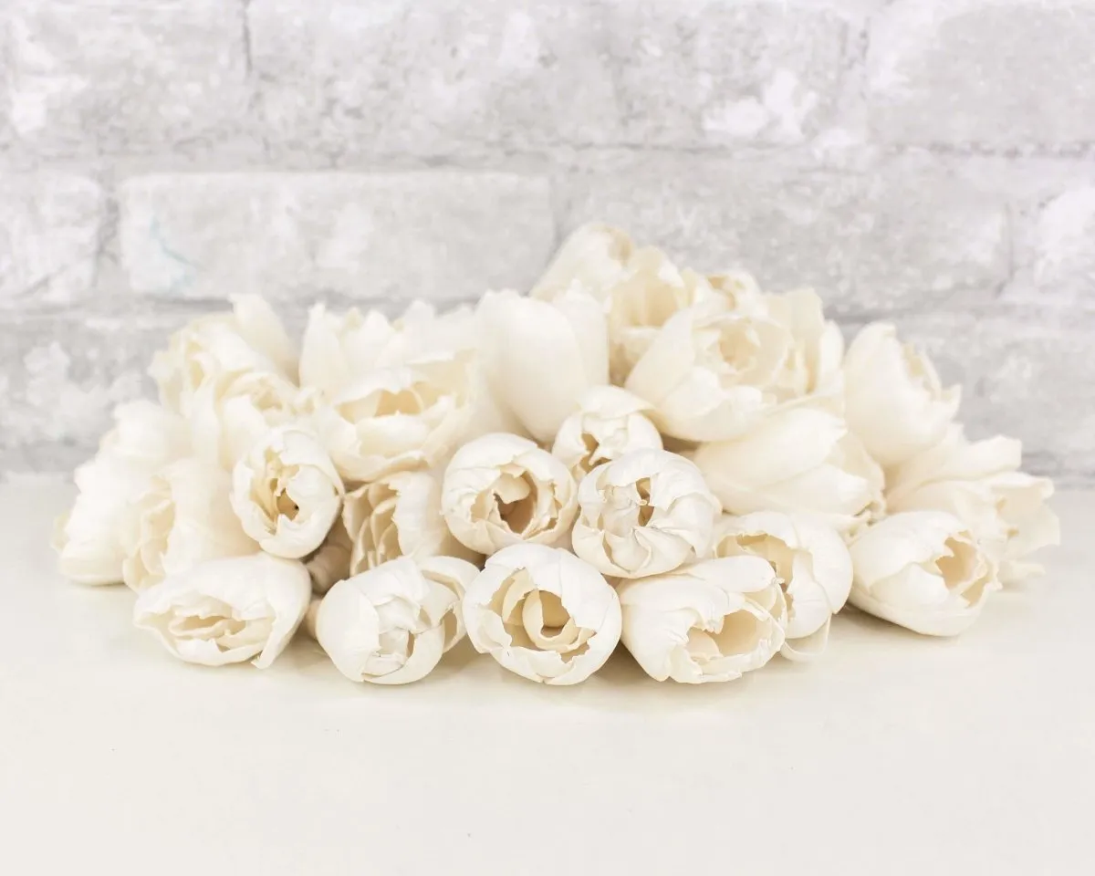 2" Precious Tulip  - 50 Pack