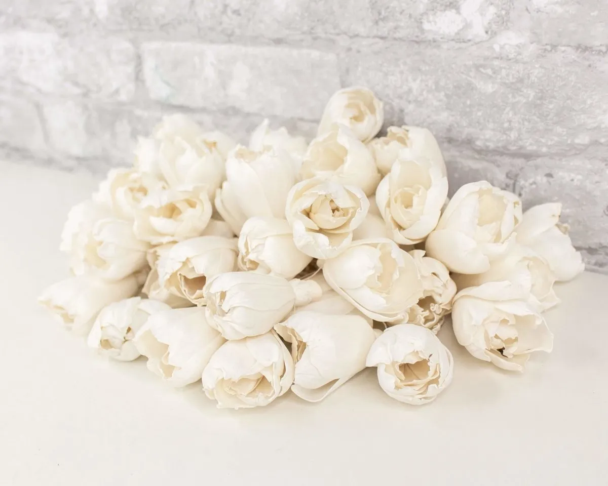 2" Precious Tulip  - 50 Pack