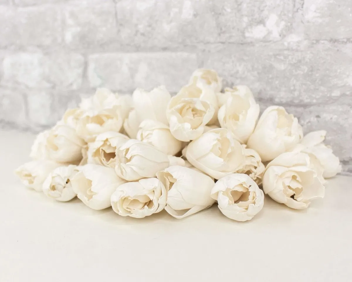 2" Precious Tulip  - 50 Pack