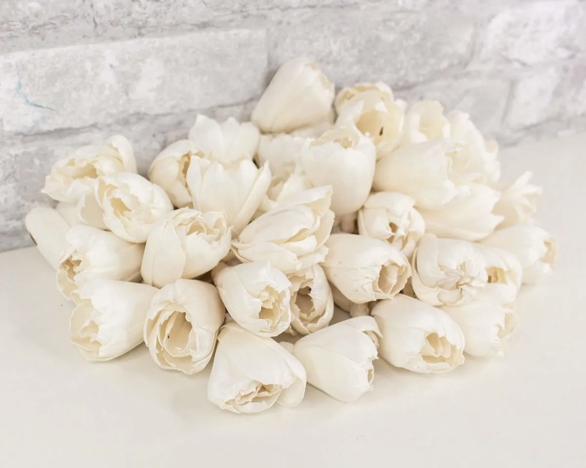 2" Precious Tulip  - 50 Pack