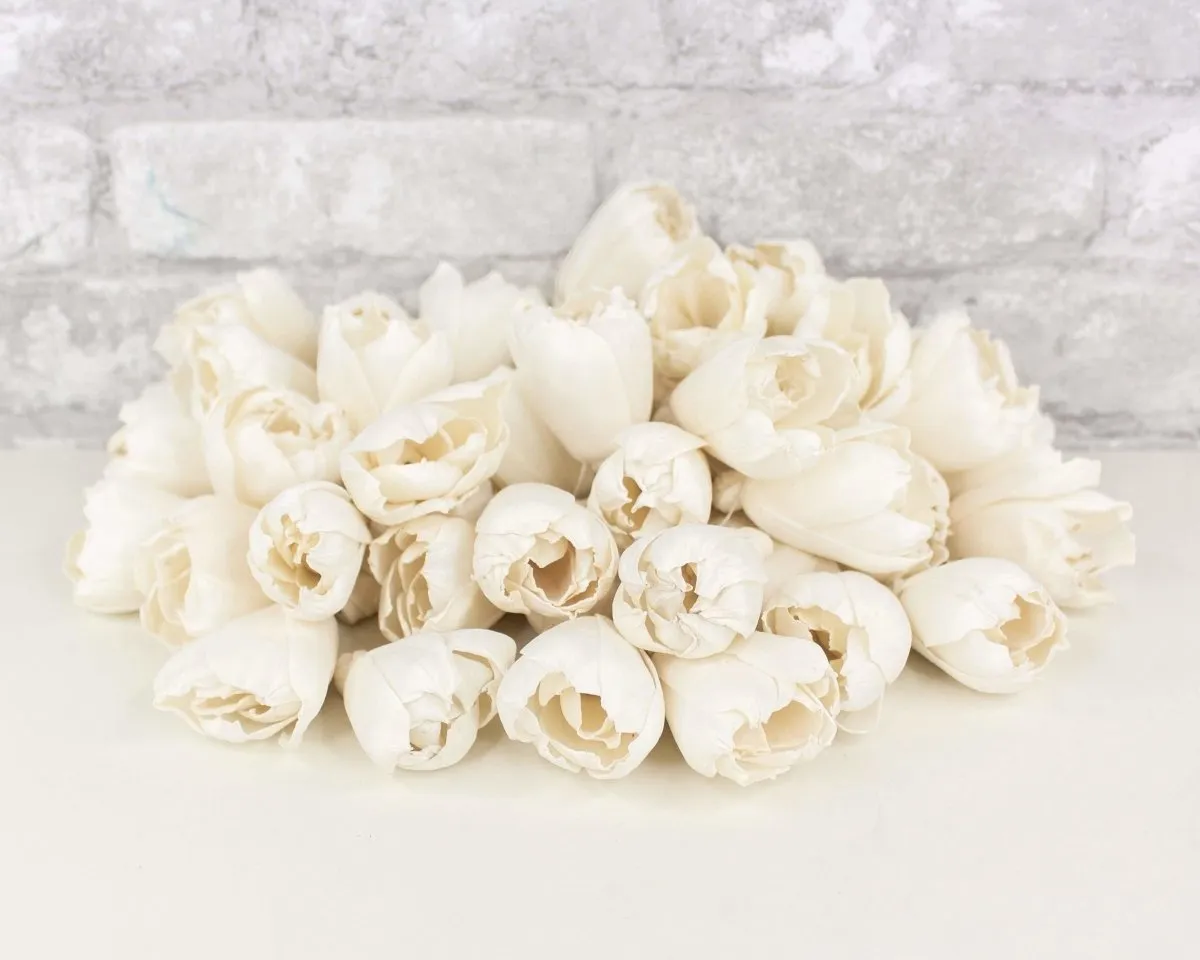 2" Precious Tulip  - 50 Pack