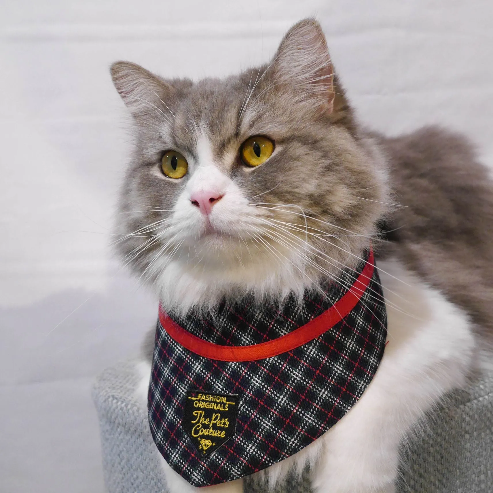 Bandanas - Royal Tartan Print