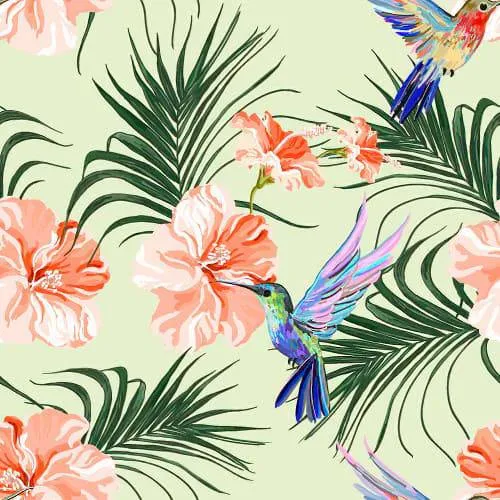 Beautiful  Hummingbird Wallpaper