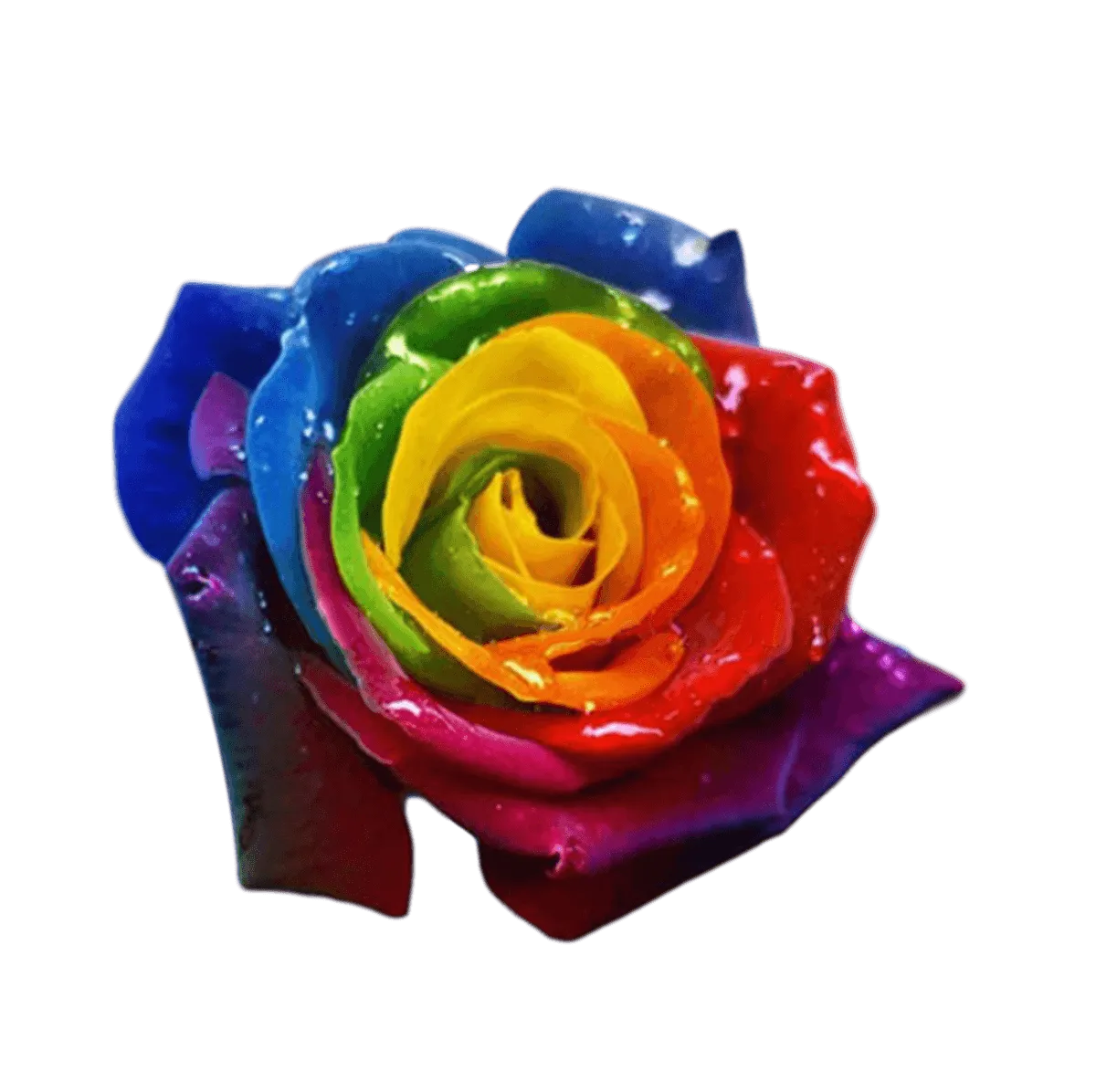Beautiful Rose Seeds