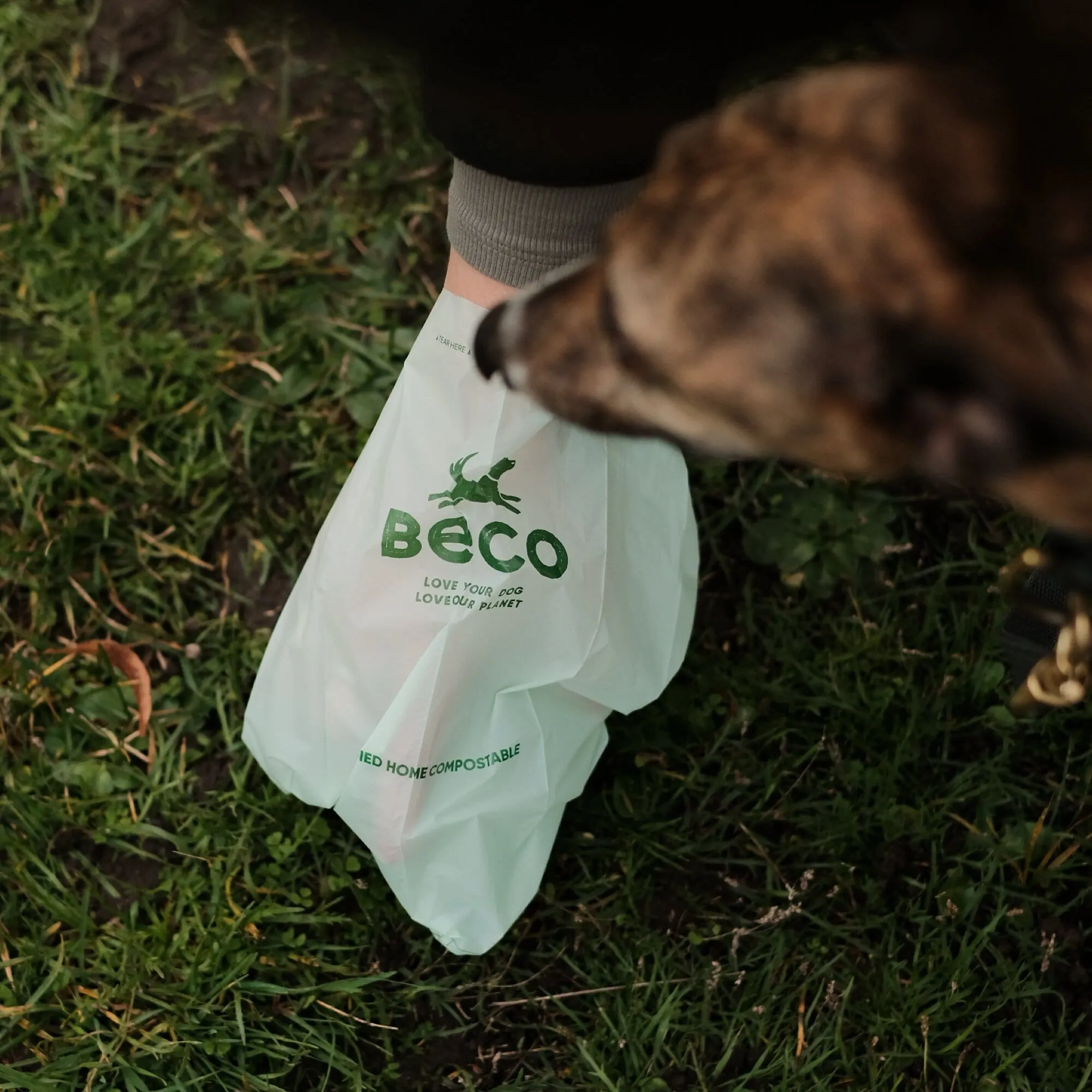 Beco Home Compostable Poop Bag