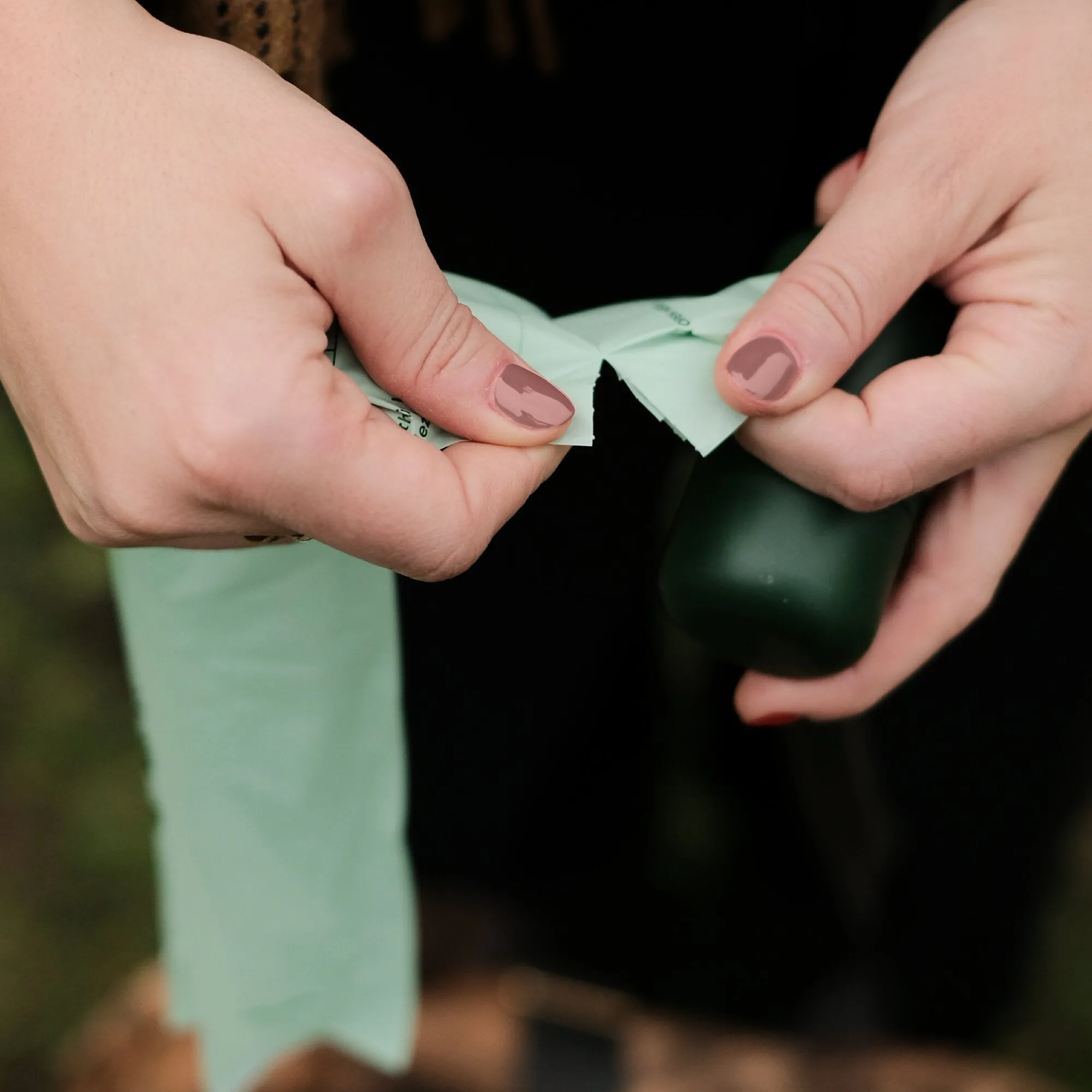 Beco Home Compostable Poop Bag