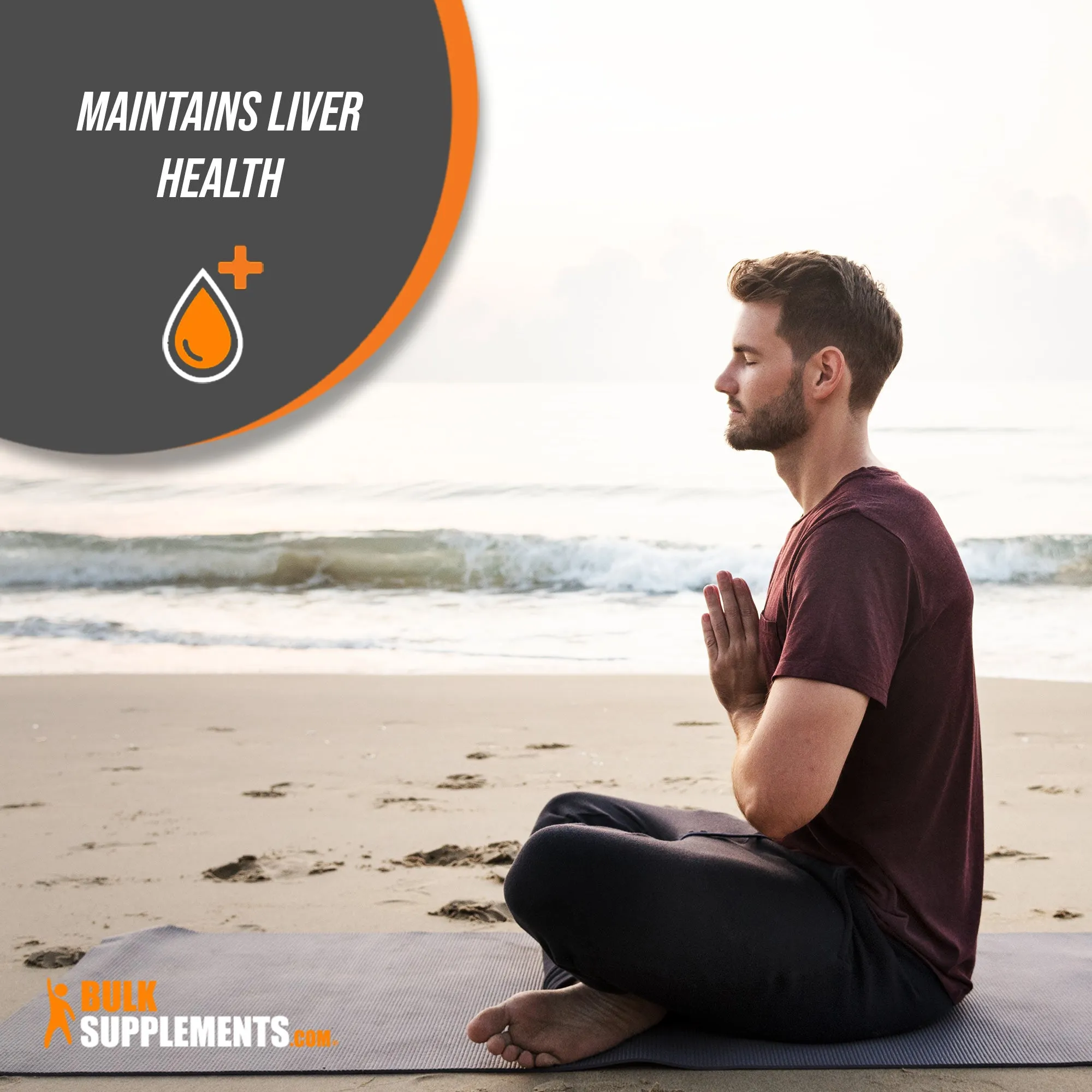 Chanca Piedra Extract Powder