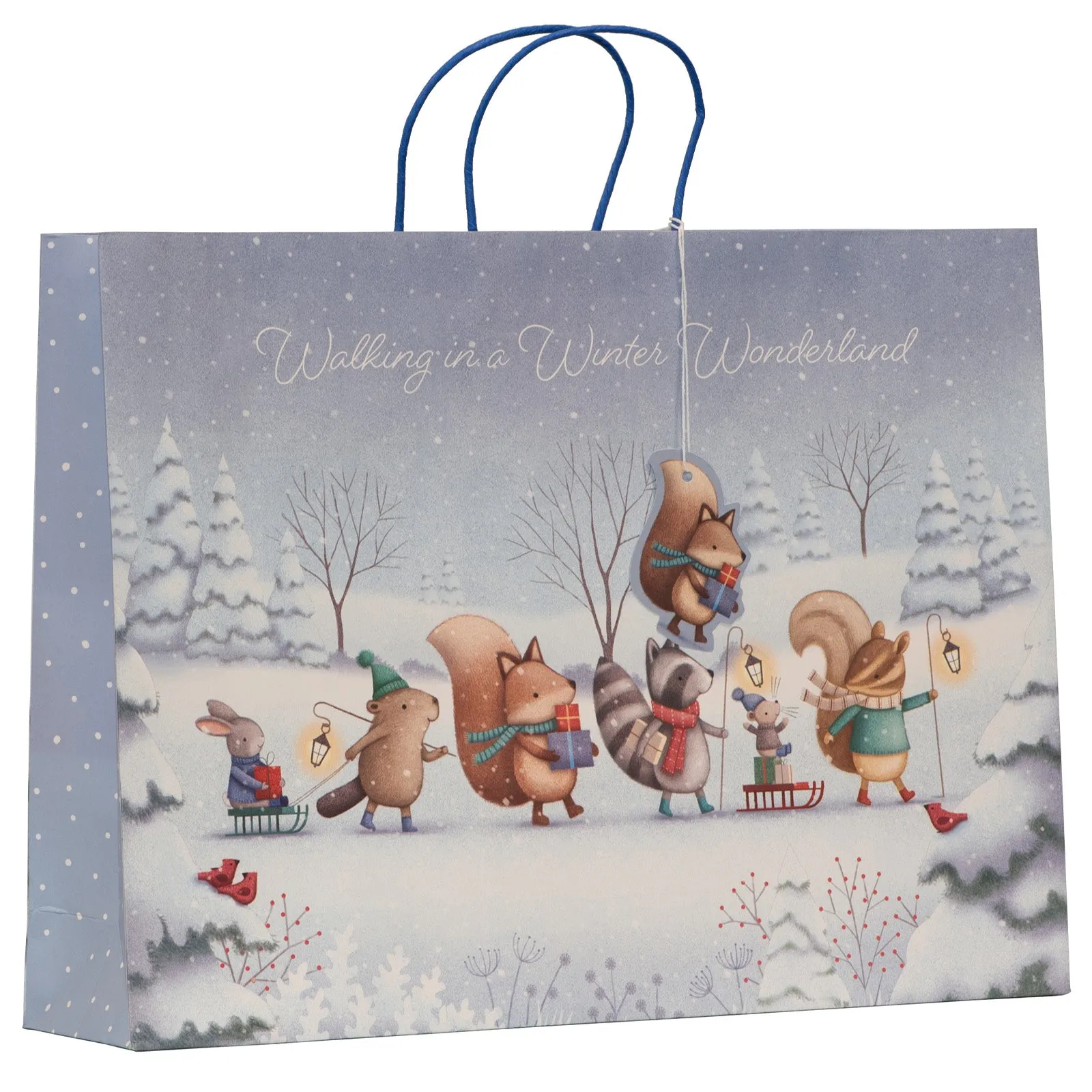 Christmas Special Delivery Gift Bag