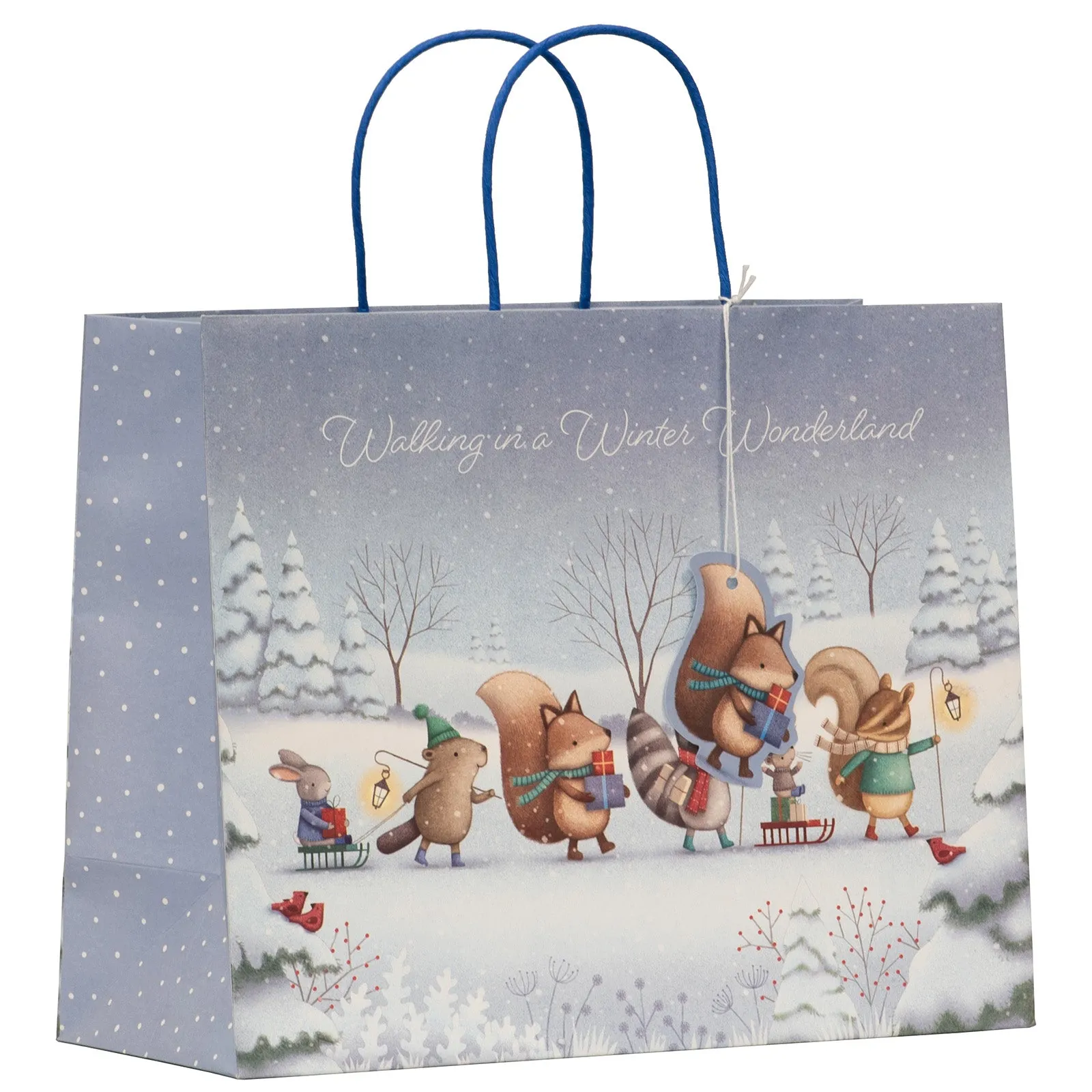 Christmas Special Delivery Gift Bag