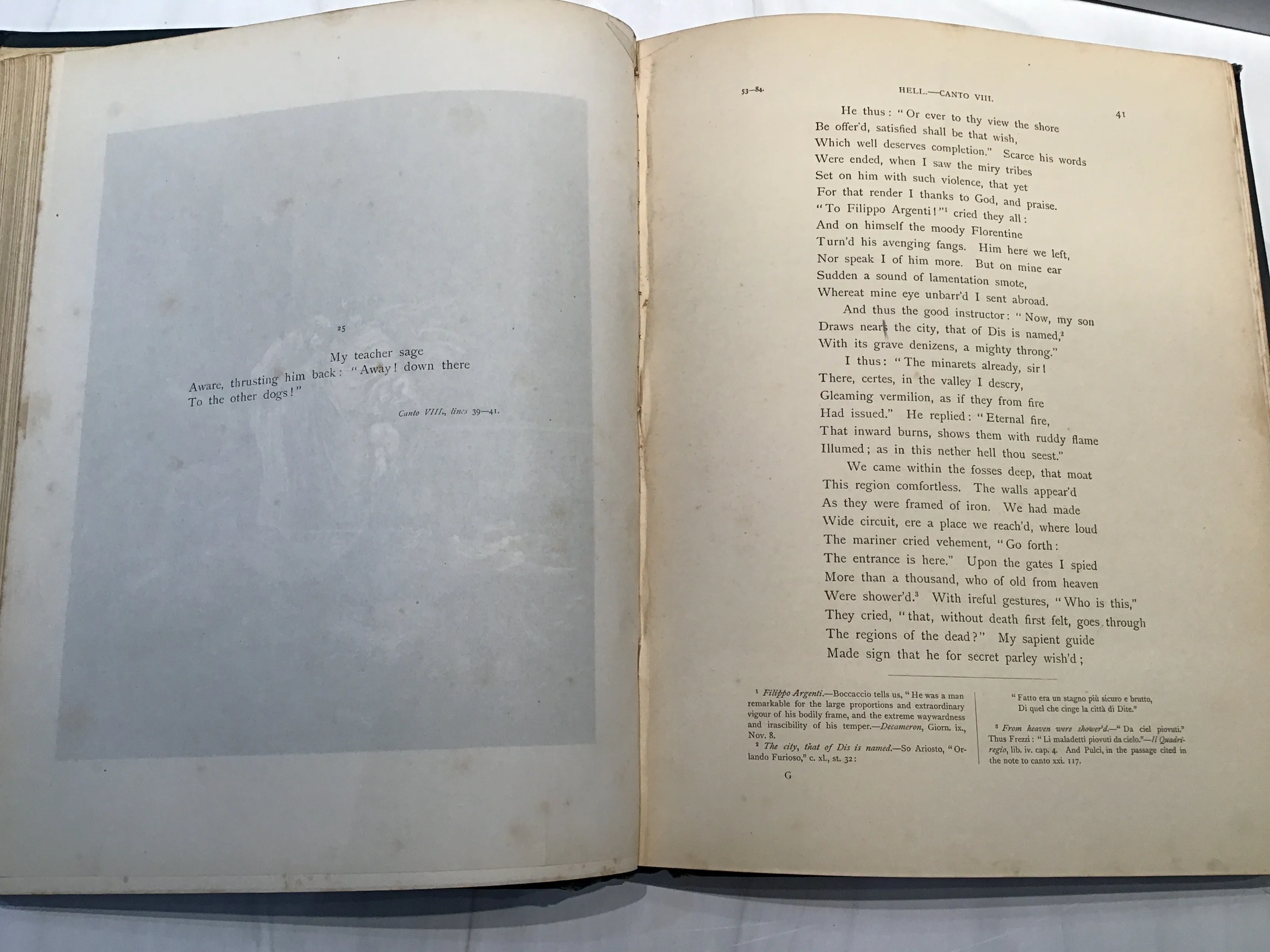 Dante's Inferno and Purgatorio Paradise