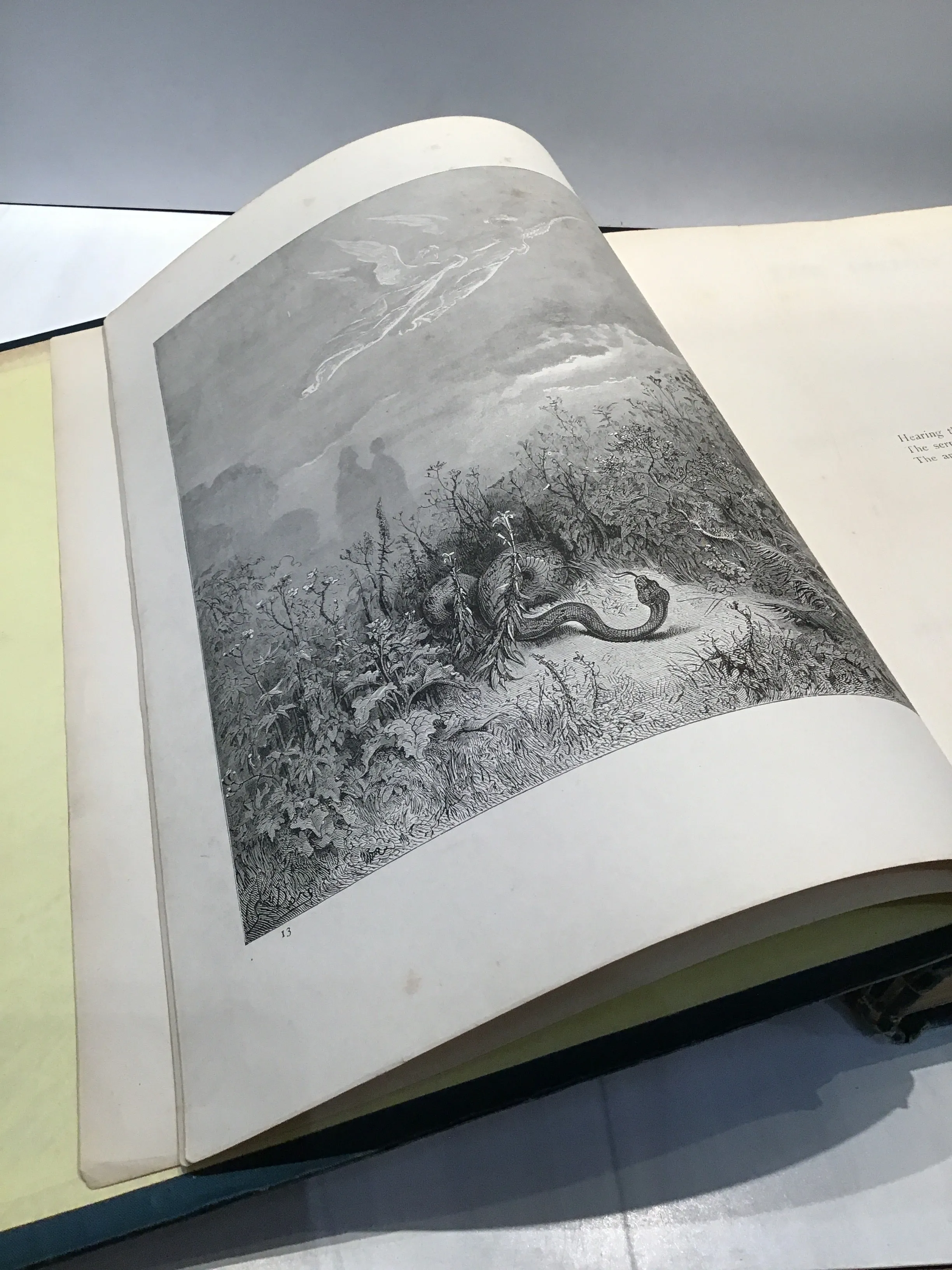 Dante's Inferno and Purgatorio Paradise