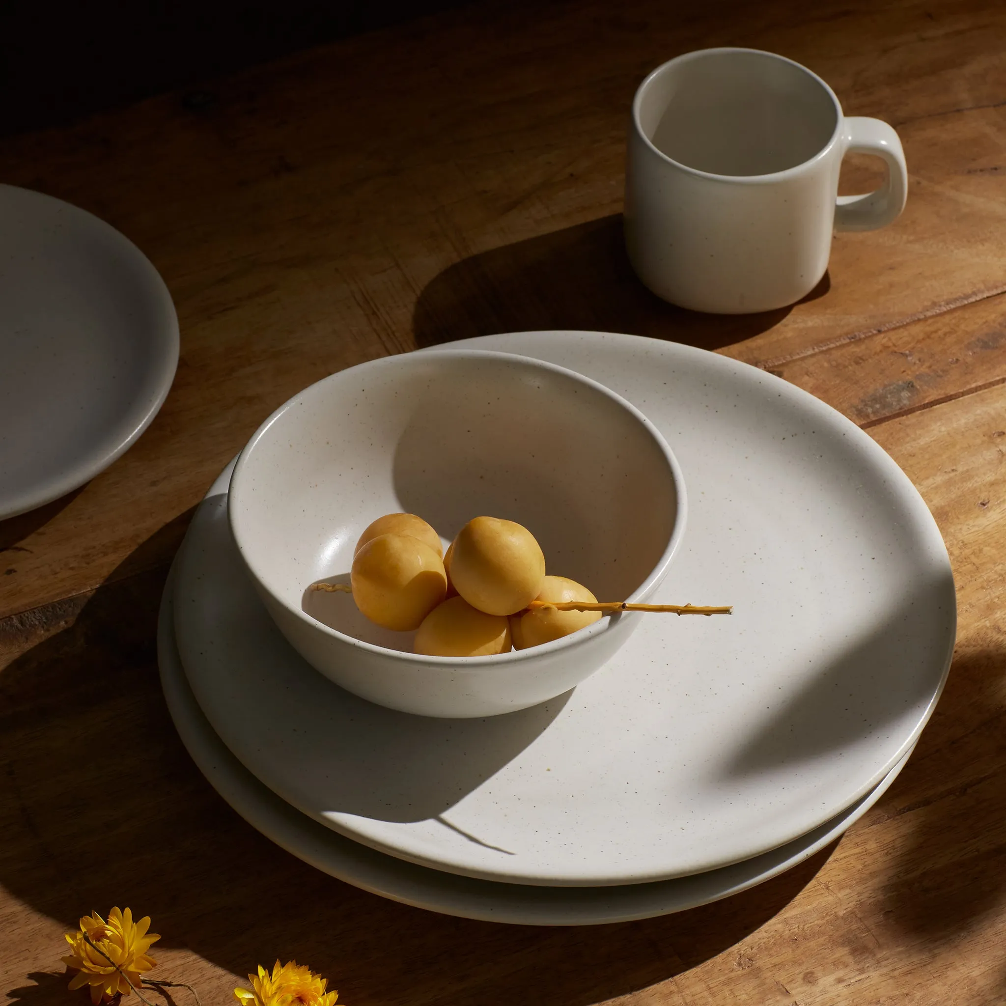 Dinner Plate