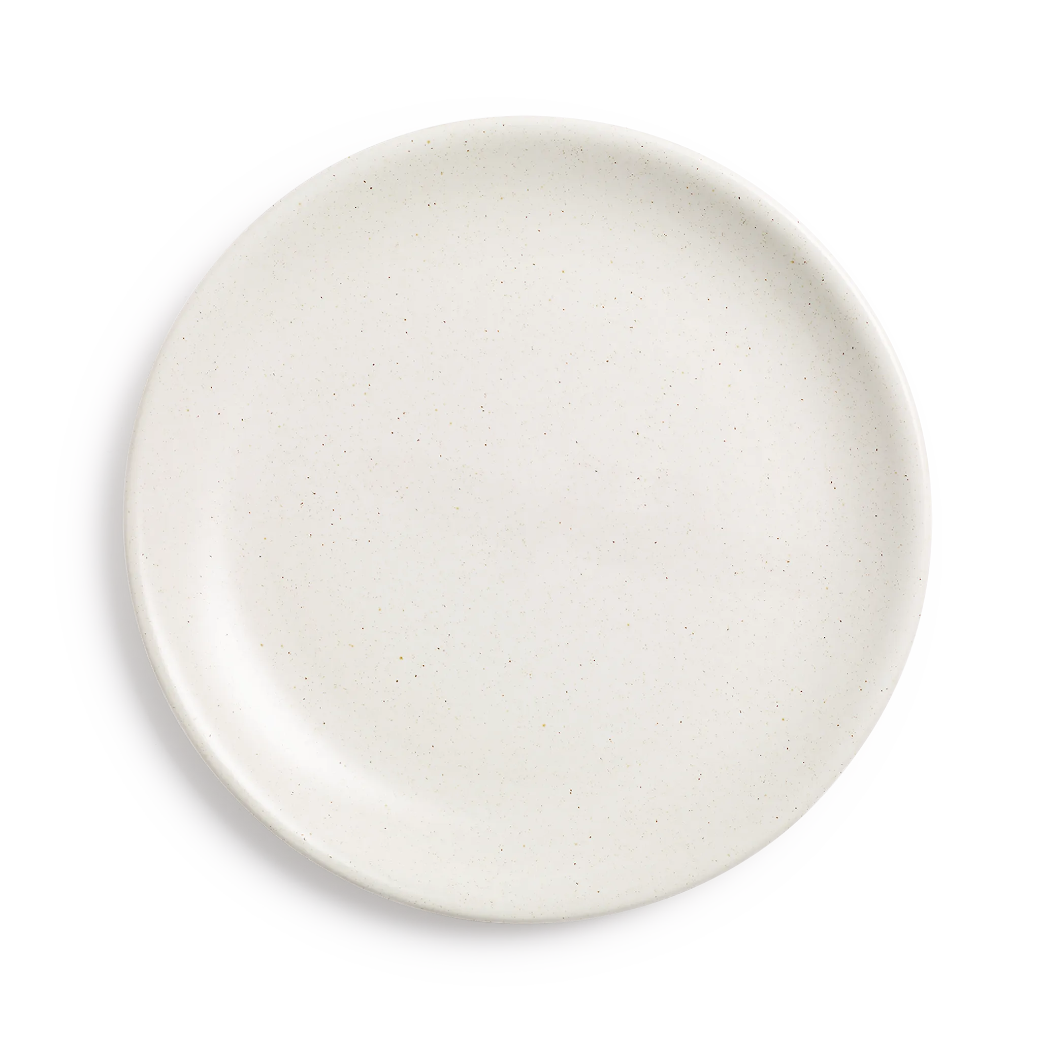 Dinner Plate
