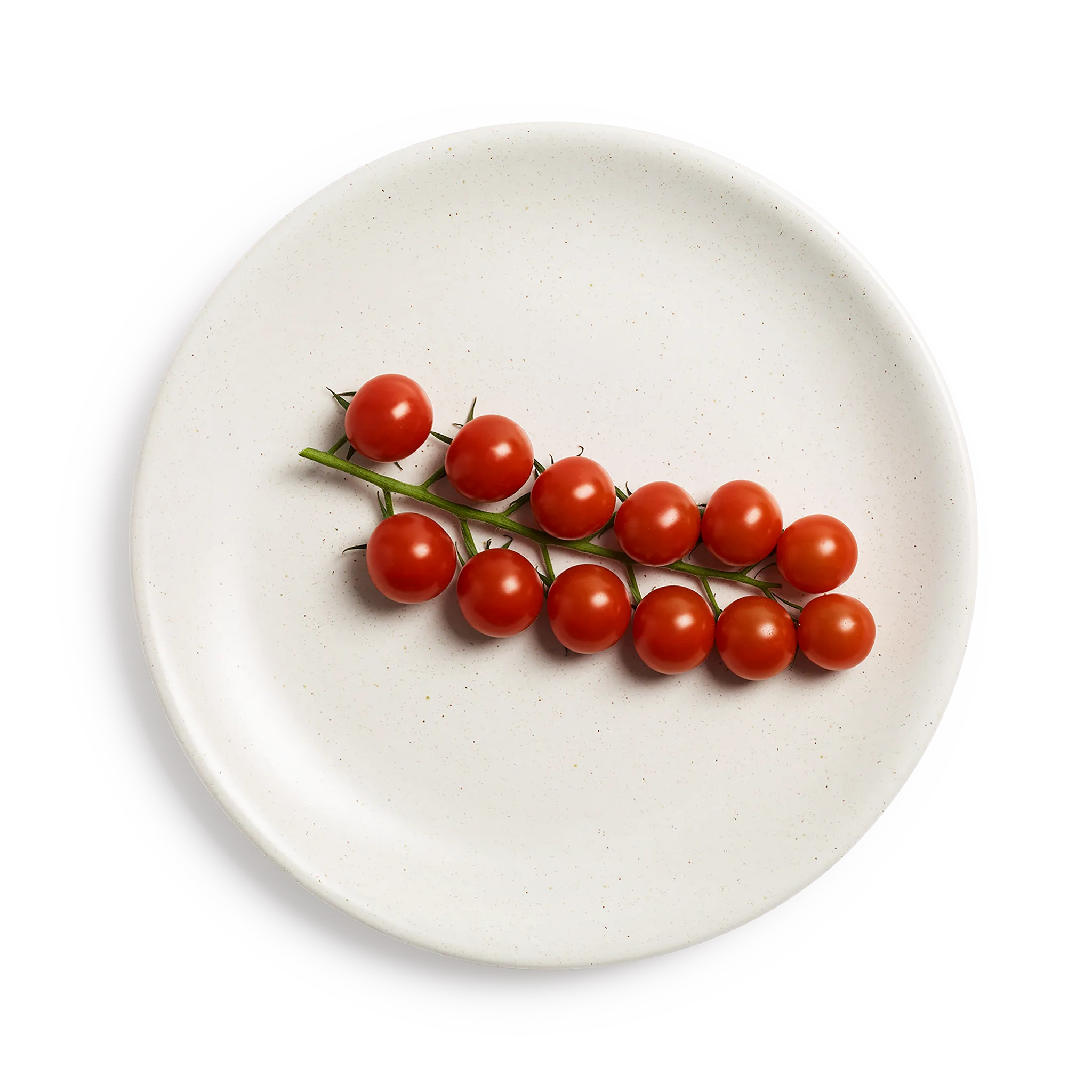 Dinner Plate