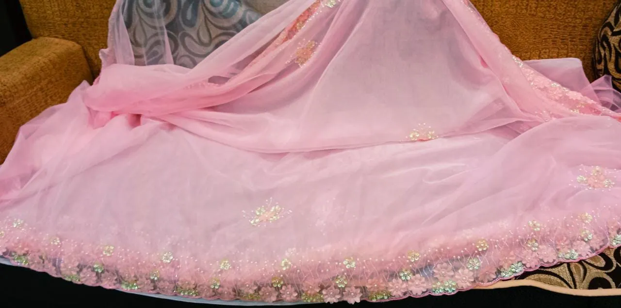 Fairly organza beautiful saree