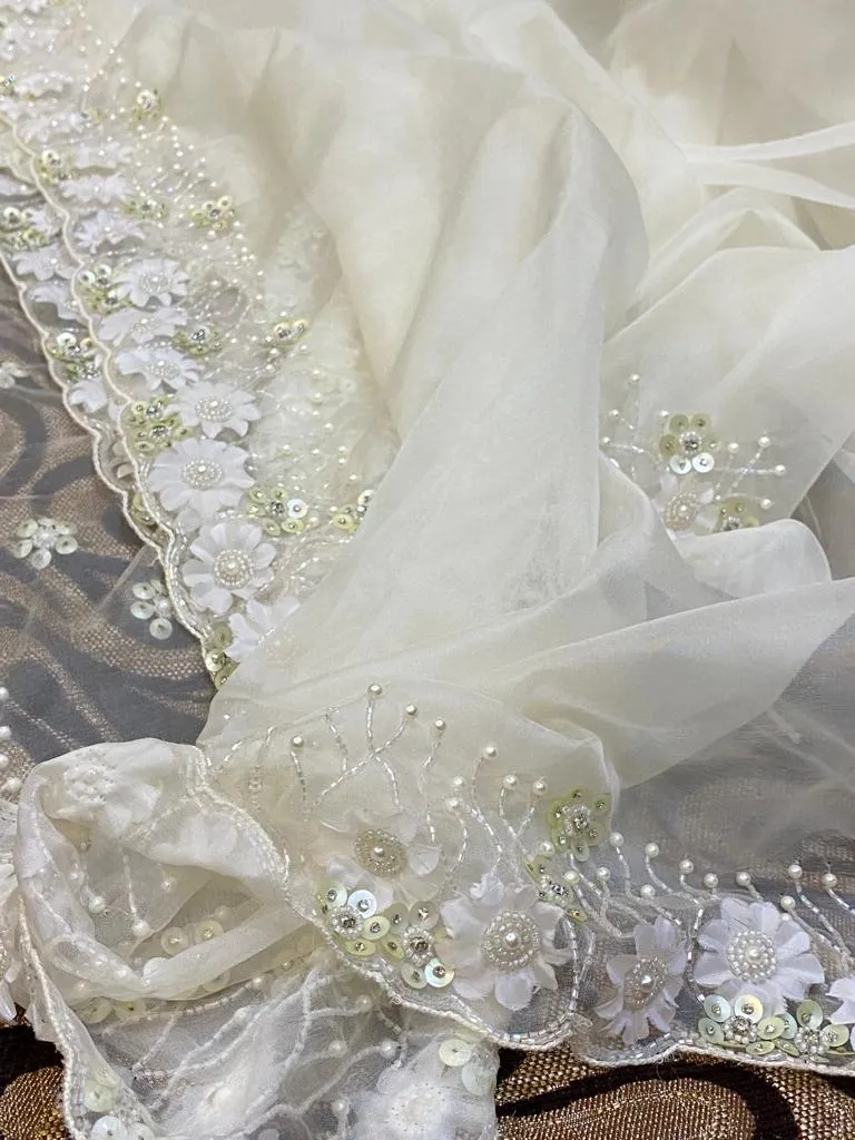 Fairly organza beautiful saree