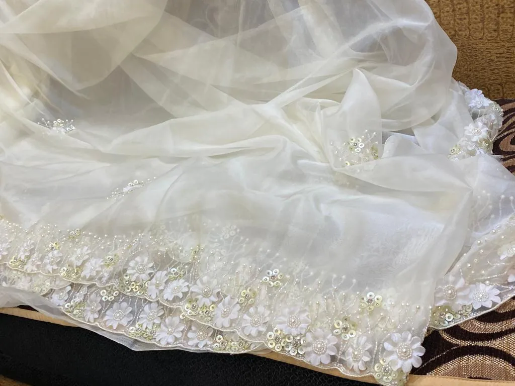 Fairly organza beautiful saree