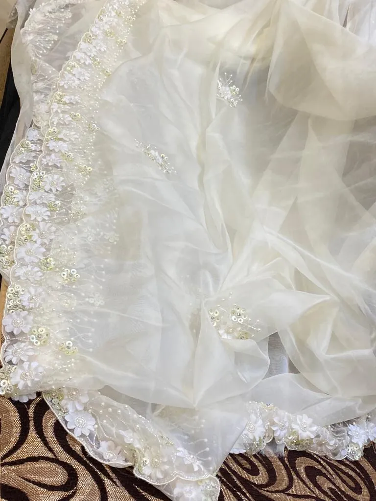 Fairly organza beautiful saree