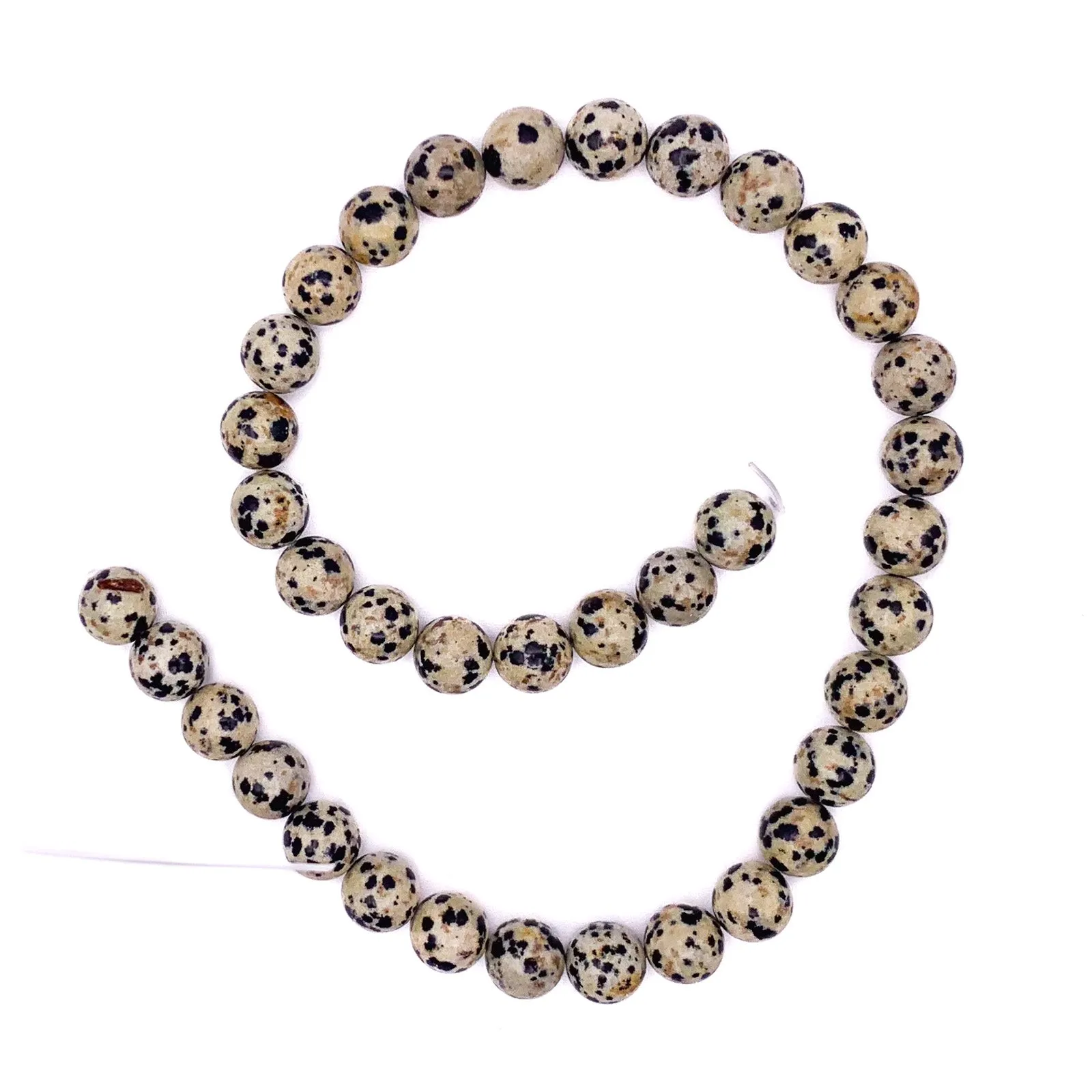 Jasper Dalmatian 10.5mm Smooth Rounds Bead Strand