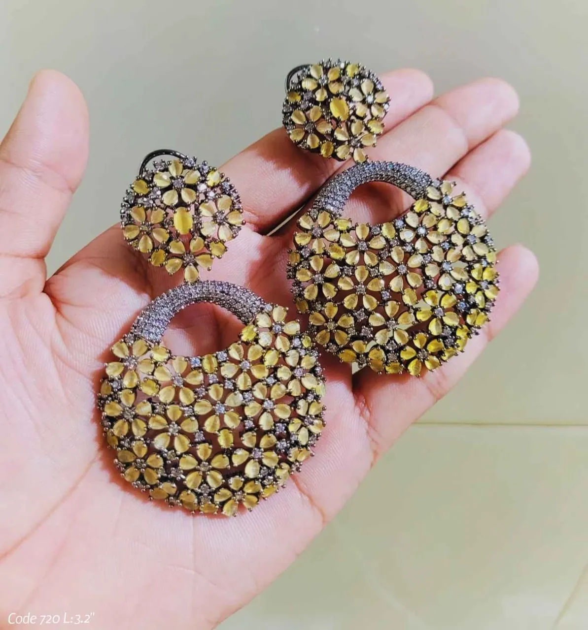Kiara beautiful Earring