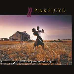 Pink Floyd - A Collection Of Great Dance  (New Vinyl LP)