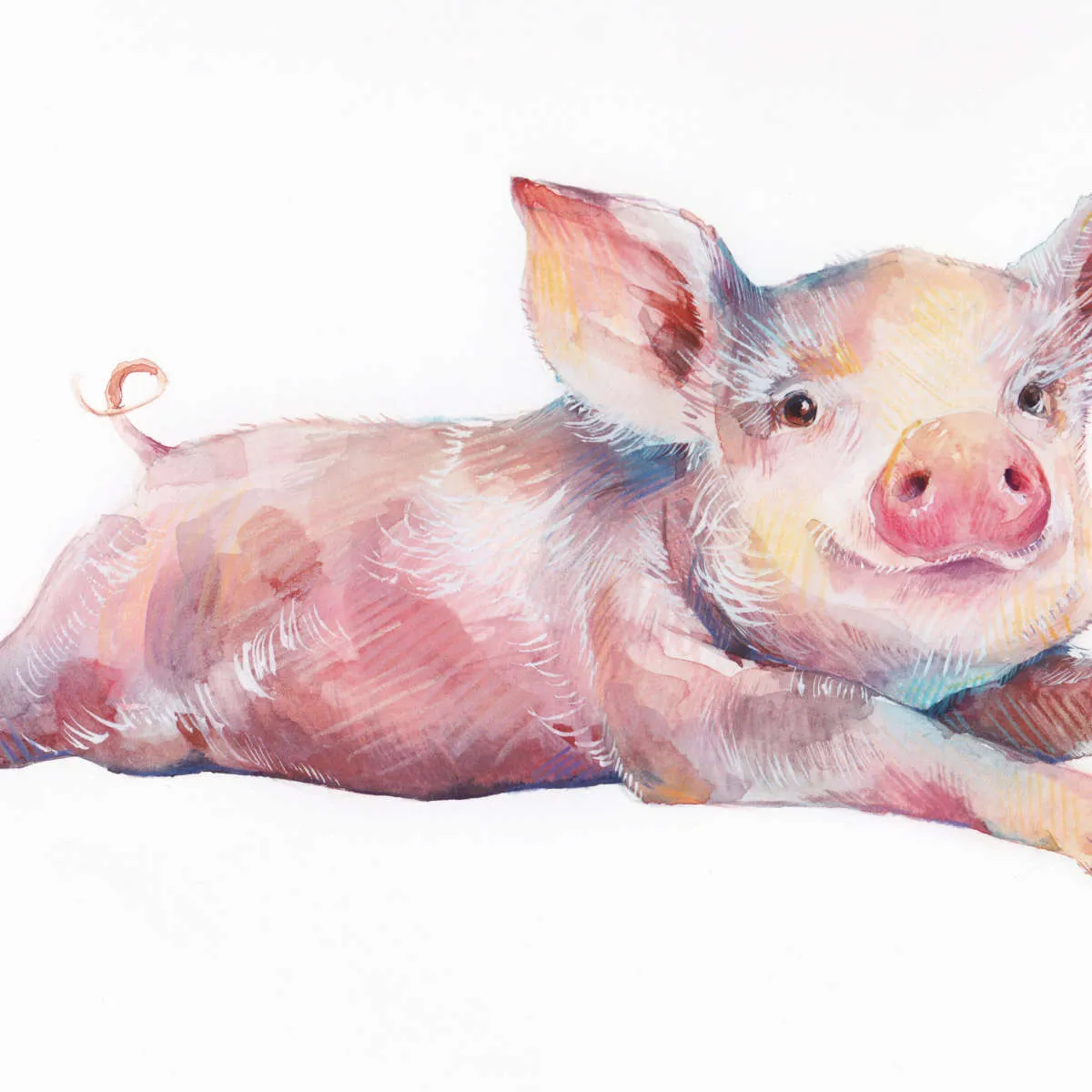Precious Piglet Wall Art