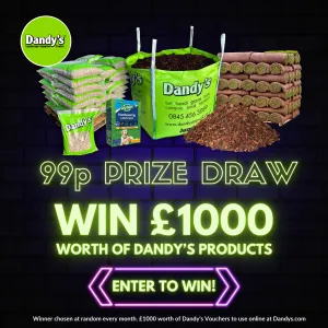 Prize Draw Entry Ticket