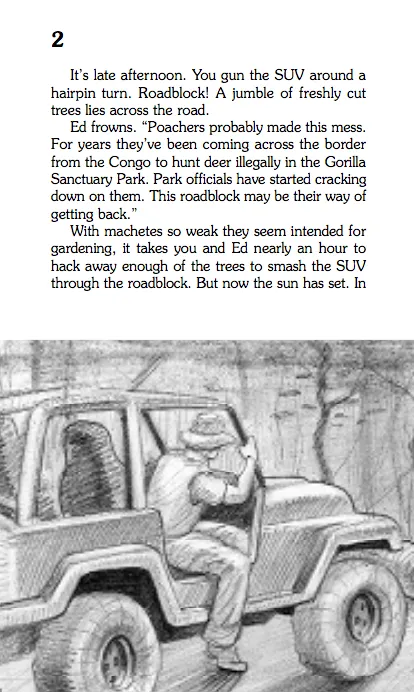 Search For The Mountain Gorillas