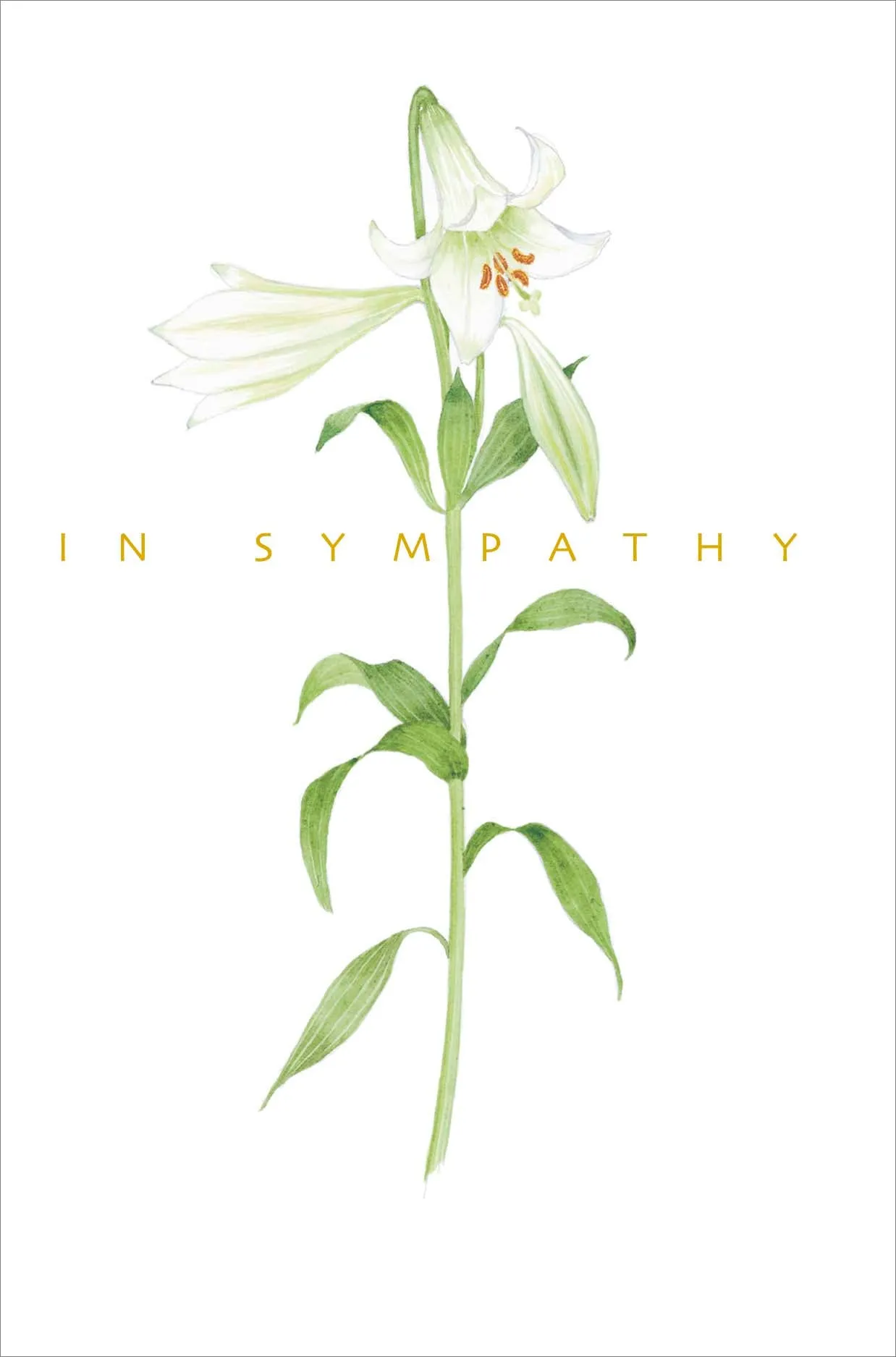 Sympathy - Simply Precious