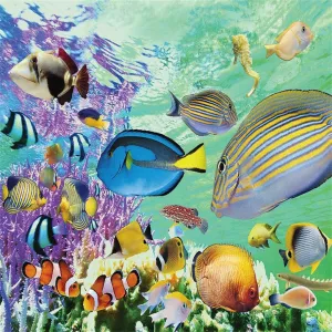 The Beautiful Underwater World