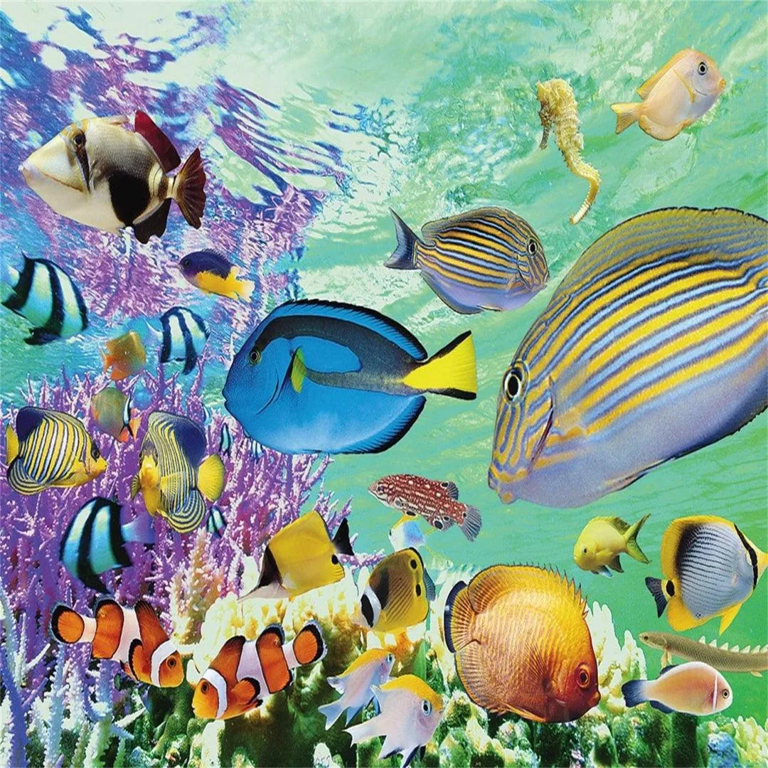 The Beautiful Underwater World