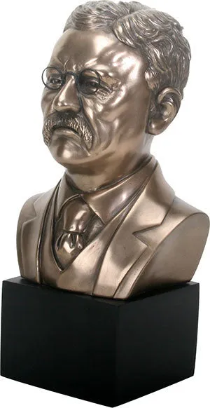 THEODORE ROOSEVELT, C/6